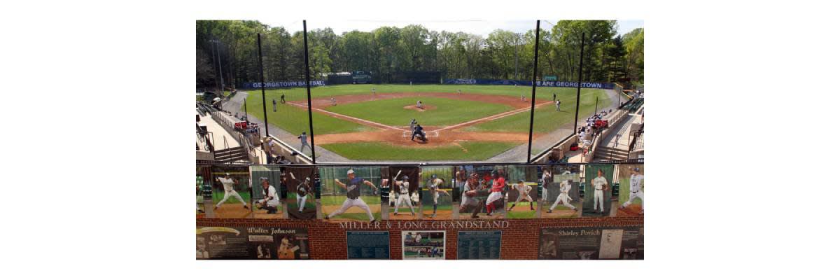 Bethesda Big Train Baseball Game - 3rd Annual Link Generations Picnic!